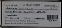 Image Associated With the Occurence